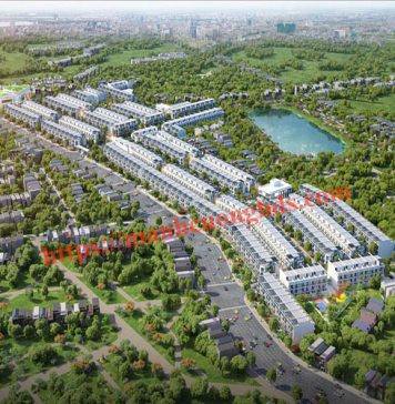 tnr stars phong châu phú thọ