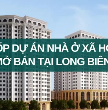 danh sách nhà ở xã hội quận Long Biên sắp mở bán