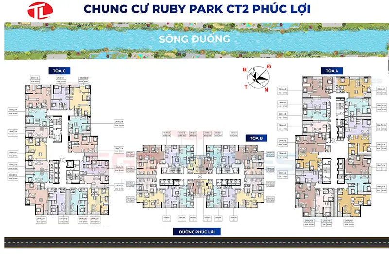 DỰ ÁN CHUNG CƯ RUBY PARK - PHÚC LỢI, LONG BIÊN 4 mặt bằng thiết kế Dự án Ruby Park